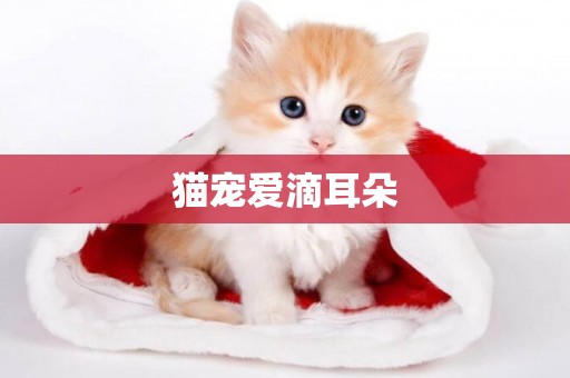 猫宠爱滴耳朵